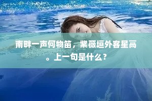 欲下前时雪磴，重开向日风翎。上一句是什么？