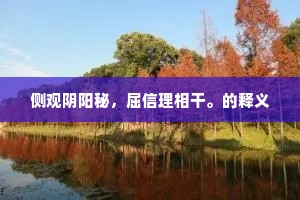 江空人响绝，影落千丈清。的意思及出处