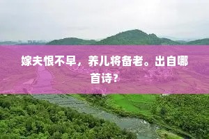 洗釜煮蔬留客饭，卷帘移菊看人锄。上一句是什么？