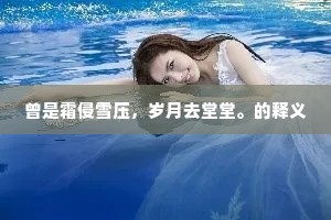 便殷勤、作礼何妨，况是广平铁石。上一句是什么？