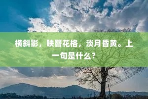 野人乱后无归处，惟有尊前似故乡。的意思及出处