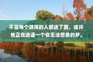 不是每个游荡的人都迷了路，或许他正在追逐一个你无法想象的梦。