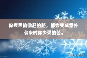 你摸黑偷偷赶的路，都会变成意外袭来时你少受的苦。