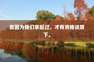 就因为我们拿起过，才有资格说放下。