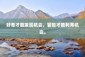 好奇才能发现机会，冒险才能利用机会。