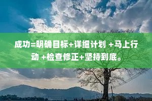成功=明确目标+详细计划 +马上行动 +检查修正+坚持到底。