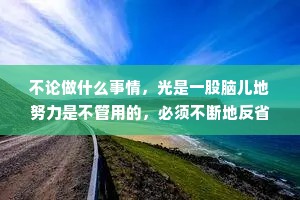 不论做什么事情，光是一股脑儿地努力是不管用的，必须不断地反省。