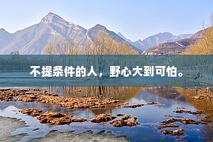不提条件的人，野心大到可怕。