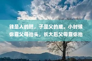钱是人的胆，子是父的威。小时候你靠父母抬头，长大后父母靠你抬头，父母给的是背景，自己拼的才是江山。人这一生能用钱捍卫尊严的时刻多了，别让自己懦弱，别让父母低头。