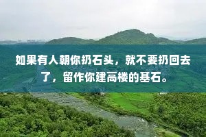 如果有人朝你扔石头，就不要扔回去了，留作你建高楼的基石。