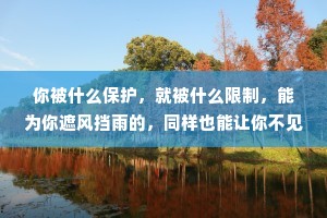 你被什么保护，就被什么限制，能为你遮风挡雨的，同样也能让你不见天日。