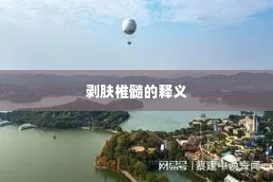 剥肤椎髓的释义