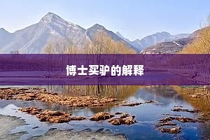 博士买驴的解释