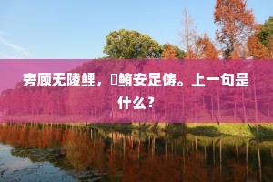 东磕西撞的释义