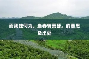 落叶绝行踪，随意披疏筱。的解释