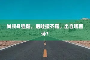 地限上林云过雁，雪封西岭树啼鹃。下一句是什么？