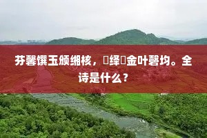 孤儿犹识我，少妇苦思家。的解释