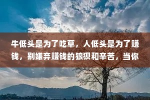 牛低头是为了吃草，人低头是为了赚钱，别嫌弃赚钱的狼狈和辛苦，当你上了生活的战场，你就会发现，卡里的余额是你最大的底气和体面。