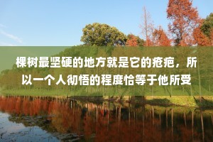 棵树最坚硬的地方就是它的疮疤，所以一个人彻悟的程度恰等于他所受痛苦的深度!该受的十分苦，少一分一寸都不能使人活得那么通透，苦恶难夺凌云志，努力终有出头日。