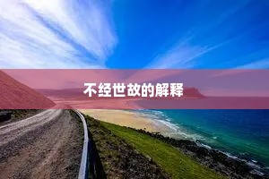 不经世故的解释