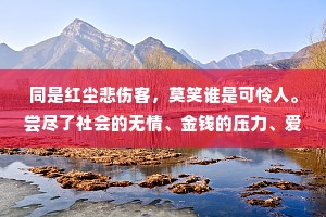 同是红尘悲伤客，莫笑谁是可怜人。尝尽了社会的无情、金钱的压力、爱情的不堪、人性的险恶，你就会明白:别人的屋檐再大，都不如自已有一把伞。