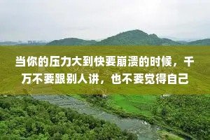 当你的压力大到快要崩溃的时候，千万不要跟别人讲，也不要觉得自己委屈，因为没有人会真正地心疼你。无人问津也好，技不如人也罢，你都要试着安静下来，去做你该做的事，而不是让焦虑和烦躁，去毁掉你本就不多的热情