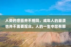 人类的悲喜并不相同，成年人的崩溃也并不需要观众。人的一生中总有那么一段时光，你身处其中会觉得无比艰辛和漫长，可是等你突破了那个极限，站在一个更高层次回头看时，你会忘了以前的艰辛和困难，记住的只有弥足珍