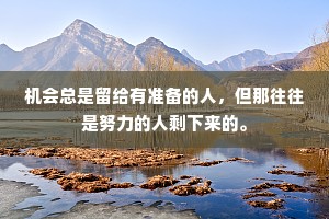 机会总是留给有准备的人，但那往往是努力的人剩下来的。