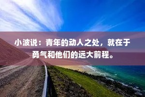 小波说：青年的动人之处，就在于勇气和他们的远大前程。