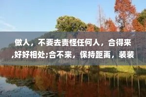 做人，不要去责怪任何人，合得来,好好相处;合不来，保持距离，装装糊涂。灵魂相似的人自然会聚在一起，磁场不同的人讲话都是在翻山越岭。