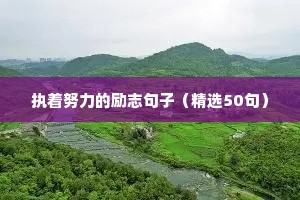 武术励志故事广告文案（精选8篇）
