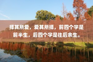 择其所爱，爱其所择，前四个字是前半生，后四个字是往后余生。
