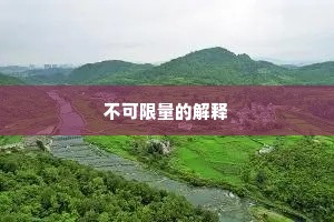 不可限量的解释