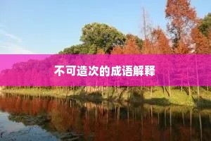 不可造次的成语解释