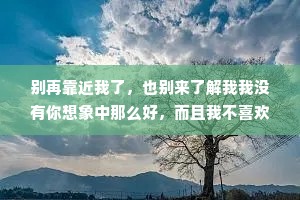 别再靠近我了，也别来了解我我没有你想象中那么好，而且我不喜欢来了又走的人，这样真的很烦。