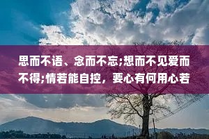 思而不语、念而不忘;想而不见爱而不得;情若能自控，要心有何用心若能自控，何苦要心动，情到深处伤最深，爱到深处心最痛。