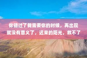你错过了我需要你的时候，再出现就没有意义了，迟来的阳光，救不了枯萎的向日葵。