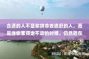 合适的人不是你拼命去追赶的人，而是当你累得走不动的时候，仍然陪在你身边想拉起你一起走的人。