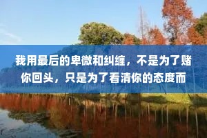 我用最后的卑微和纠缠，不是为了赌你回头，只是为了看清你的态度而攒够失望，为了以后想起你时，不后悔，不遗憾。