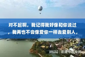 对不起啊，我记得我好像和你说过，我再也不会像爱你一样去爱别人，其实，是骗你的。在遇到下一个人的时候，我会避开所有和你感情里的雷区，把你从来没有得到过的最好的我，交给他。