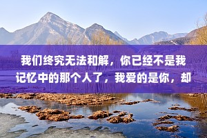 我们终究无法和解，你已经不是我记忆中的那个人了，我爱的是你，却又不是你。