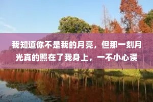 我知道你不是我的月亮，但那一刻月光真的照在了我身上，一不小心误入了你的心境，养了眼，醉了心，许了愿，甚是难忘。