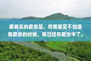 最真实的爱就是，在我甚至不知道我爱你的时候，我已经在爱当中了。