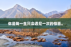 你是我一生只会遇见一次的惊喜。