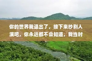 你的世界我退出了，接下来抄别人演吧，你永远都不会知道，我当时满眼是你，为你痴狂的样子，连我自己都羡慕。