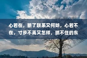 心若在，断了联系又何妨，心若不在，寸步不离又怎样，抓不住的东西连伸手都是多余，能被别人抢走的，其实从来都不曾属于你。