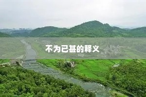 不为已甚的释义