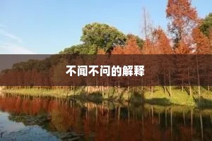 不闻不问的解释