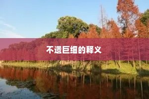 不遗巨细的释义