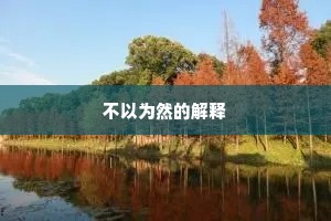 不以为然的解释